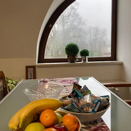 Apartment Veleslavinova