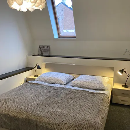 Apartmán Veleslavinova *
