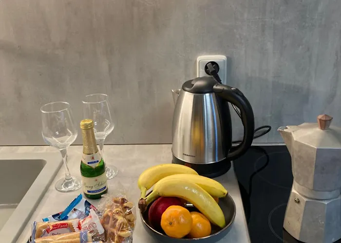 Veleslavínova Apartamento Trutnov