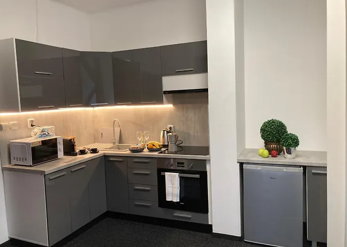 Apartamento Veleslavínova *