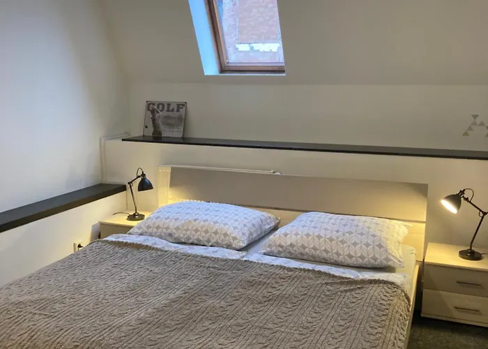 Apartamento Veleslavínova *